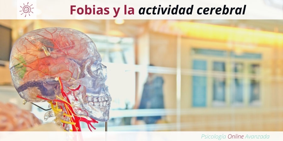 Fobias y la actividad cerebral, Tratamiento para las fobias, Miedo, Pánico, Ansiedad, Terapia online, Exposición, Dificultad para respirar, Fobias, Síntomas de las fobias