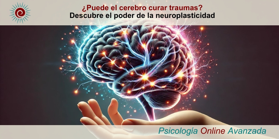 La ilustración presenta un cerebro sostenido suavemente por una mano. El cerebro está envuelto en conexiones neuronales resplandecientes y en crecimiento, simbolizando el proceso de neuroplasticidad. Las vías neuronales se muestran adaptándose y reorganizándose, emitiendo un suave brillo que resalta sobre el fondo oscuro. La mano que sostiene el cerebro añade un elemento humano, proporcionando apoyo y cuidado, mientras los dedos rodean la base y los lados del cerebro. Esta representación dinámica y vibrante de neuronas y sinapsis destaca la impresionante capacidad del cerebro para cambiar y evolucionar."¿Puede el cerebro curar traumas? Descubre el poder de la neuroplasticidad. "