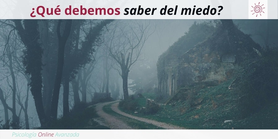 Miedo, Síntomas y Causas de una fobia Fobias, Tratamiento para las fobias, Miedo, Pánico, Ansiedad, Terapia online, Exposición, Dificultad para respirar, Fobias, Síntomas de las fobias